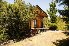 Lagos y Bosques